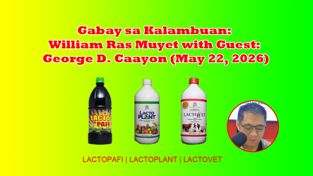 gabay sa kalambuan