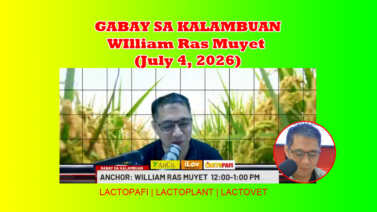 gabay sa kalambuan