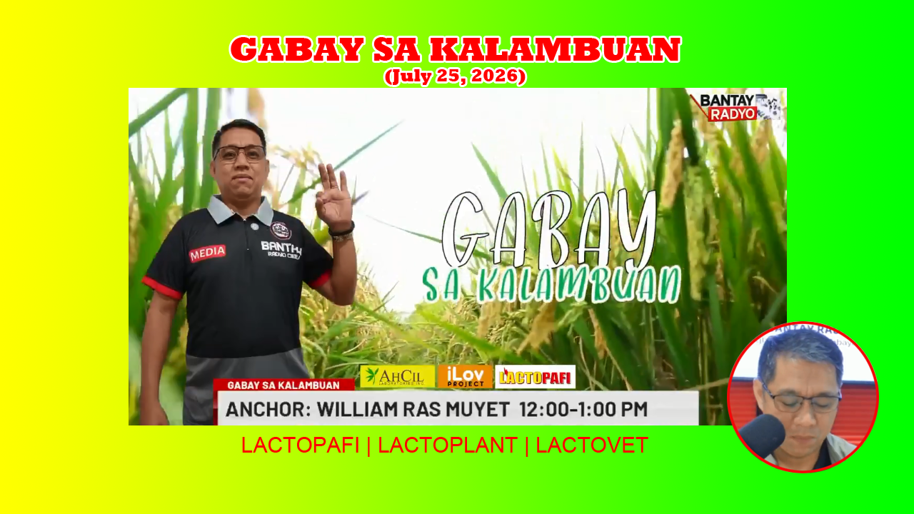 gabay sa kalambuan
