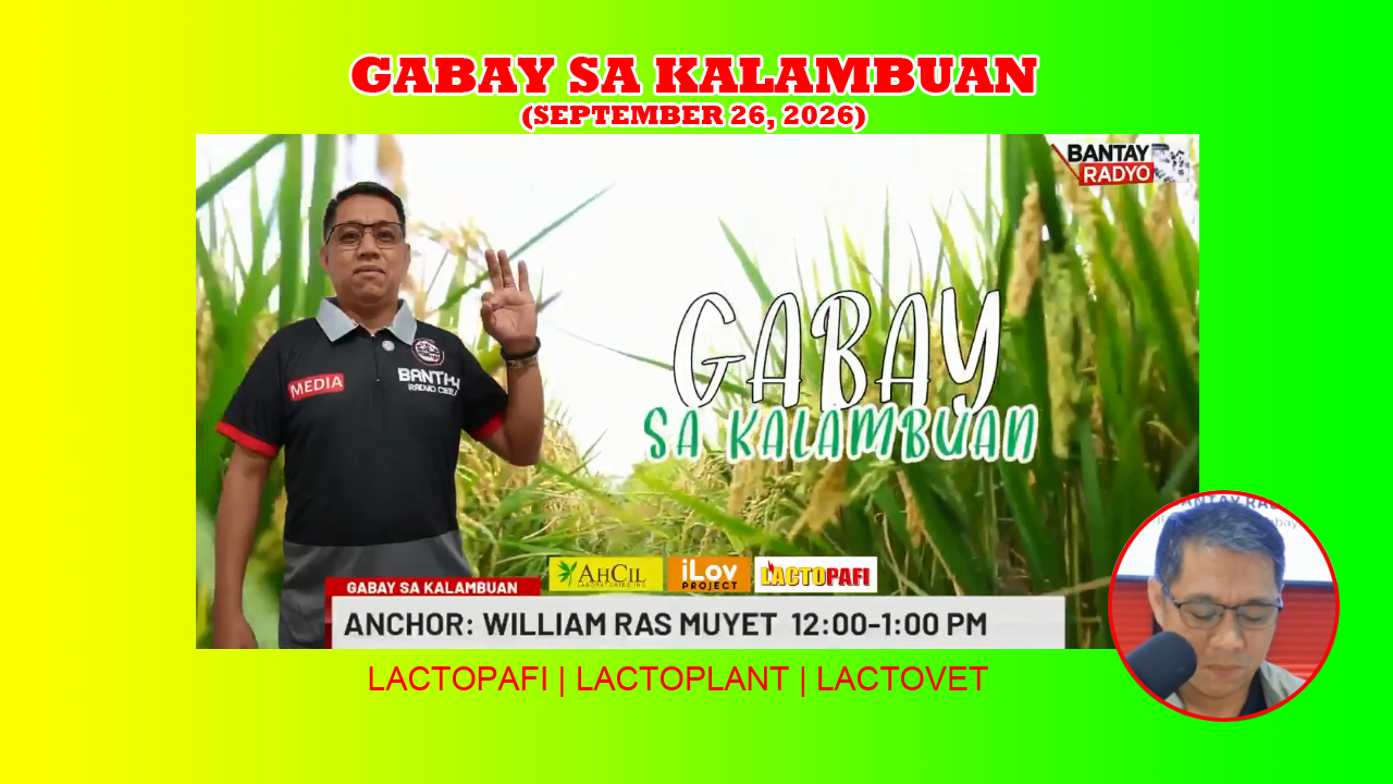 gabay sa kalambuan